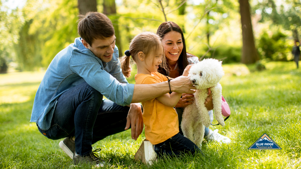 Dog Park Etiquette