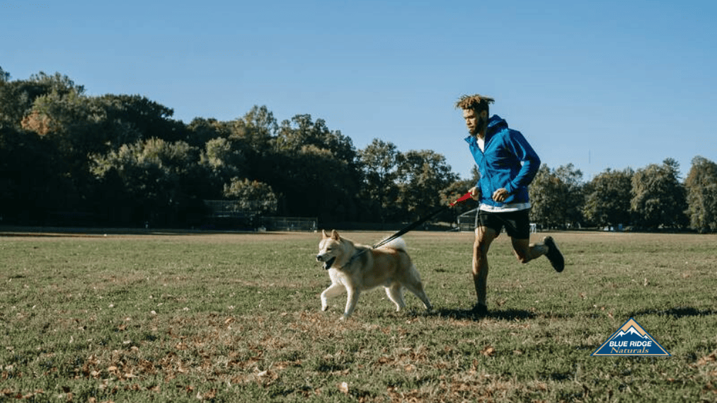 Active dog running with a man through a field.