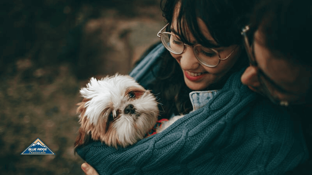 Shih Tzu dog carried by woman with glasses.