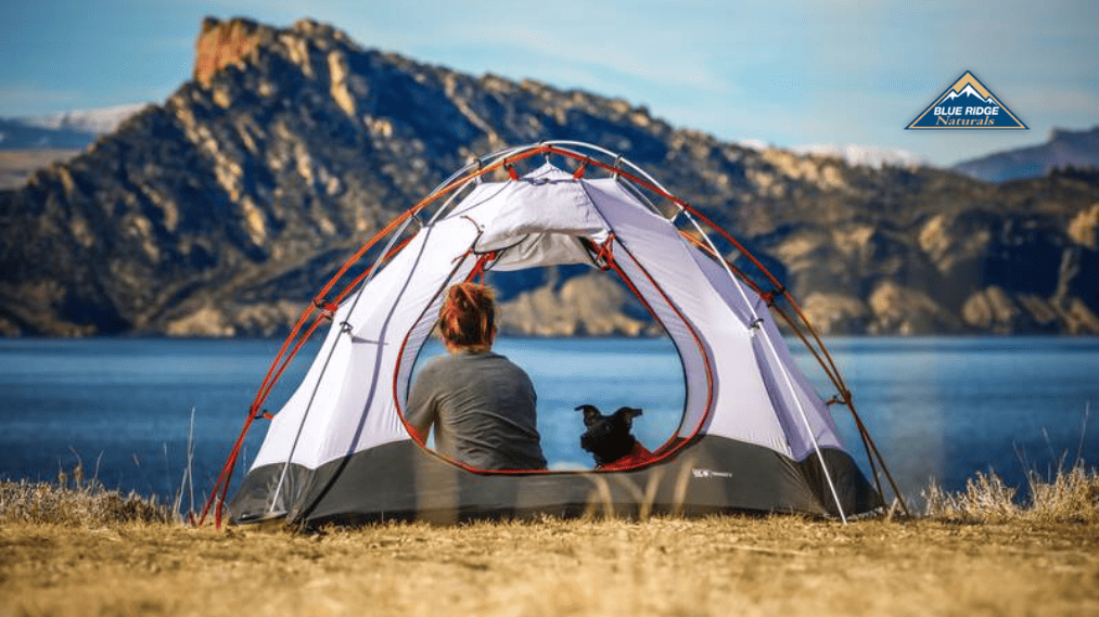 A cozy camping tent is one of dog camping essentials