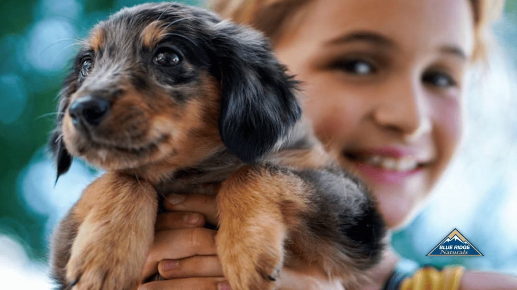 Girl holding puppy.