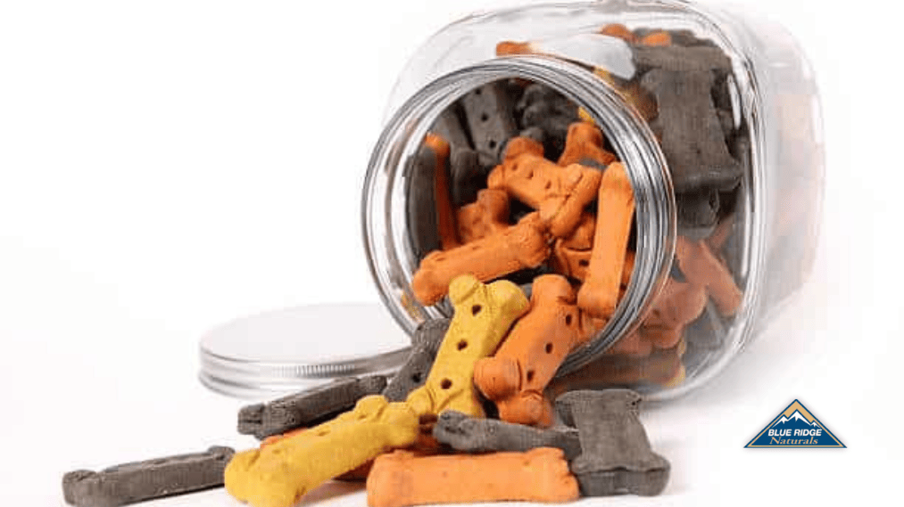 how to store dog food