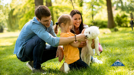 Dog Park Etiquette