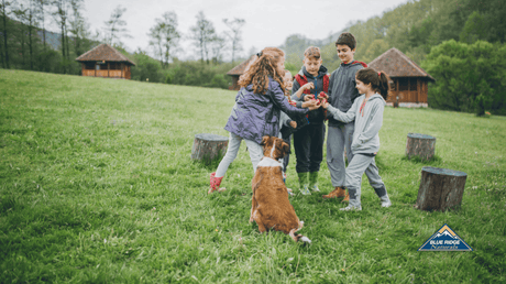 Children playing outside together with a dog.