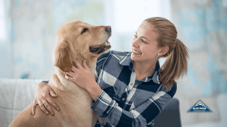 A dog smiling to his owner inside the home.
