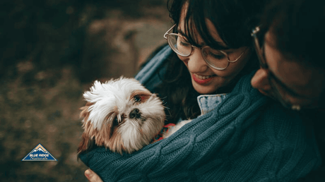 Shih Tzu dog carried by woman with glasses.