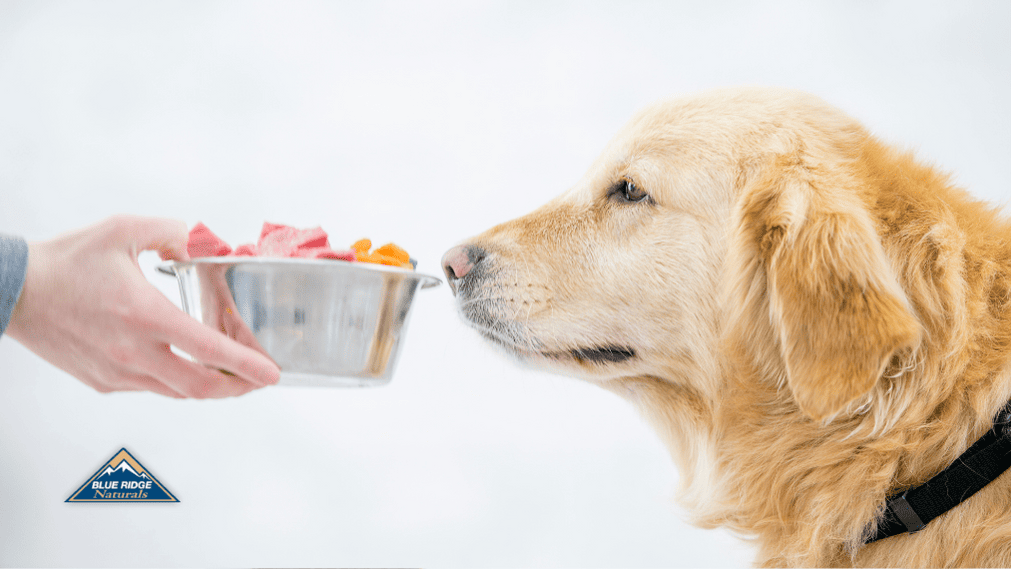 Human Snacks For Dogs (Sweet Potatoes, Peanut Butter, & More!)