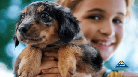 Girl holding puppy.
