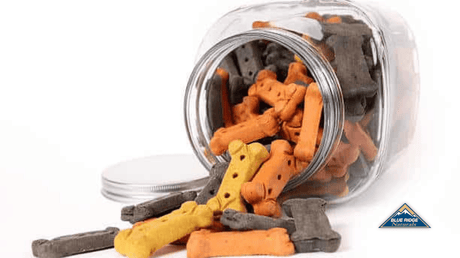 how to store dog food