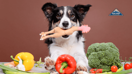 Vegan Dog Treats