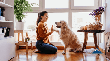 At home, the dog and the woman give each other high-fives.