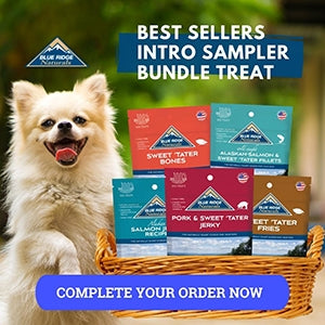 Cheerful dog beside a basket of best sellers intro samplers.