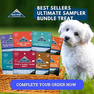 A cute white dog with best sellers ultimate samplers.