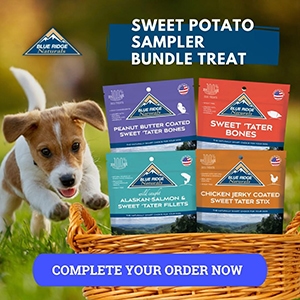 A dog playing beside a basket of Sweet Potato sampler bundle treats.